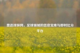 奥迅球探网，足球领域的信息宝库与即时比分平台