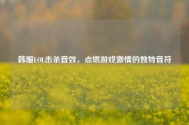韩服LOL击杀音效，点燃游戏***的独特音符