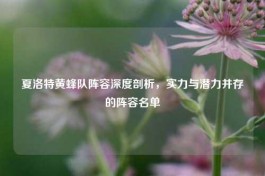 夏洛特黄蜂队阵容深度剖析，实力与潜力并存的阵容名单