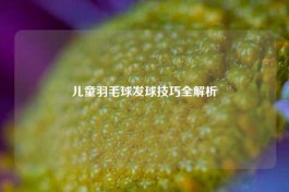 儿童羽毛球发球技巧全解析