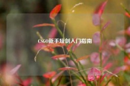 CSGO新手短剑入门指南