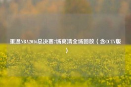 重温NBA2016总决赛7场高清全场回放（含CCTV版）
