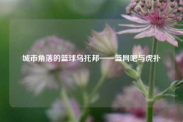 城市角落的篮球乌托邦——篮网吧与虎扑