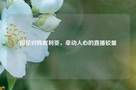 国足对阵叙利亚，牵动人心的直播较量