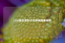 CSGO里没有影子的神秘现象解析