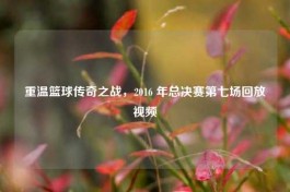 重温篮球传奇之战，2016 年总决赛第七场回放视频