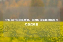 亚足联冠军联赛直播，亚洲足球盛宴精彩呈现及在线观看