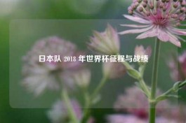 日本队 2018 年世界杯征程与战绩