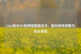 CSGO显示FPS和 *** 数据命令，提升游戏洞察与优化体验