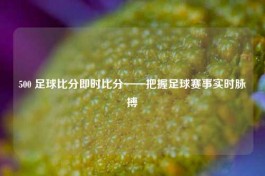 500 足球比分即时比分——把握足球赛事实时脉搏