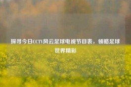 探寻今日CCTV风云足球电视节目表，领略足球世界精彩