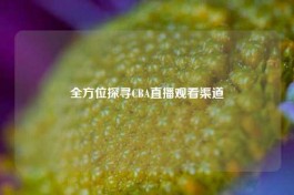 全方位探寻CBA直播观看渠道