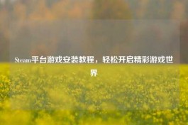 Steam平台游戏安装教程，轻松开启精彩游戏世界