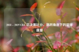 2018 - 2019 CBA 总决赛比分，激烈角逐下的篮球盛宴