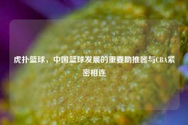 虎扑篮球，中国篮球发展的重要助推器与CBA紧密相连