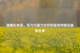 雄鹿队阵容，实力与潜力交织的篮球拼图及最新名单