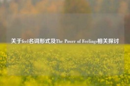 关于feel名词形式及The Power of Feelings相关探讨