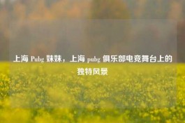 上海 Pubg 妹妹，上海 pubg 俱乐部电竞舞台上的独特风景