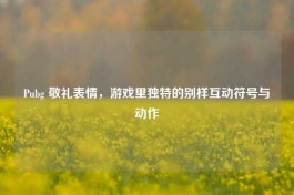 Pubg 敬礼表情，游戏里独特的别样互动符号与动作