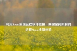利用Steam实现远程软件操控，突破空间限制的远程Steam全新体验