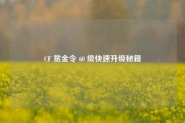 CF 赏金令 60 级快速升级秘籍