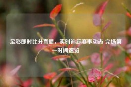 足彩即时比分直播，实时追踪赛事动态 完场之一时间速览
