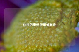 仙桃的奥运冠军都有谁