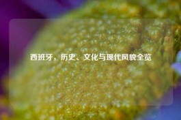 西班牙，历史、文化与现代风貌全览