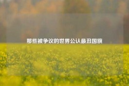 那些被争议的世界公认最丑国旗