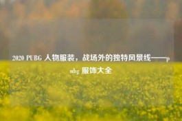 2020 PUBG 人物服装，战场外的独特风景线——pubg 服饰大全
