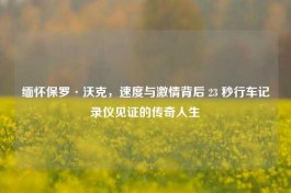 缅怀保罗·沃克，速度与     背后 23 秒行车记录仪见证的传奇人生