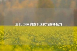 主机 CSGO 的当下现状与独特魅力