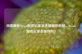深度解析Steam游戏记录及进度保存机制，Steam游戏记录会保存吗？