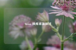 Steam 换库来源探讨