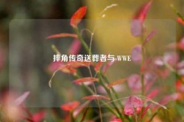摔角传奇送葬者与 WWE