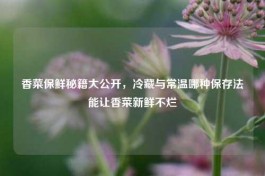 香菜保鲜秘籍大公开，冷藏与常温哪种保存法能让香菜新鲜不烂