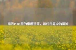 探寻PUBG里的素质玩家，游戏世界中的清流