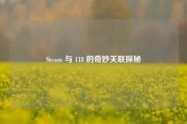 Steam 与 118 的奇妙关联探秘