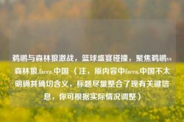 鹈鹕与森林狼激战，篮球盛宴碰撞，聚焦鹈鹕vs森林狼.facca.中国 （注，原内容中facca.中国不太明确其确切含义，标题尽量整合了现有关键信息，你可根据实际情况调整）