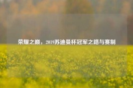荣耀之巅，2019苏迪曼杯冠军之路与赛制