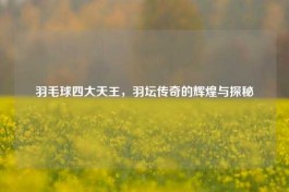 羽毛球四大天王，羽坛传奇的辉煌与探秘