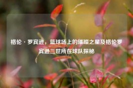 格伦·罗宾逊，篮球场上的璀璨之星及格伦罗宾逊三世所在球队探秘