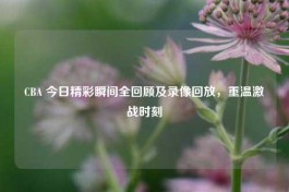 CBA 今日精彩瞬间全回顾及录像回放，重温激战时刻