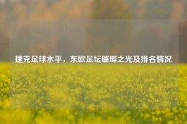 捷克足球水平，东欧足坛璀璨之光及排名情况