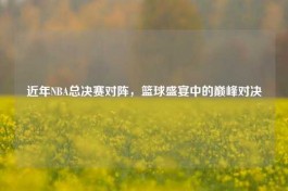 近年NBA总决赛对阵，篮球盛宴中的巅峰对决