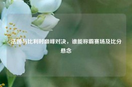 法国与比利时巅峰对决，谁能称霸赛场及比分悬念
