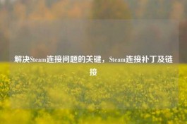 解决Steam连接问题的关键，Steam连接补丁及链接