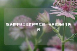 解决和平精英操作掉帧难题，尽享丝滑战斗***