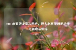 2013 年亚冠决赛次回合，恒大书写亚洲足坛传奇篇章及集锦