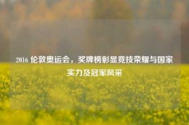 2016 伦敦奥运会，奖牌榜彰显竞技荣耀与国家实力及冠军风采